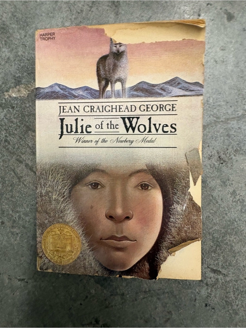 Vintage Paperback Julie of the Wolves